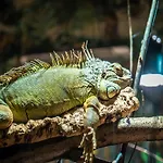 Im Freizeitpark Weissenhaeuser 维森豪瑟斯坦德