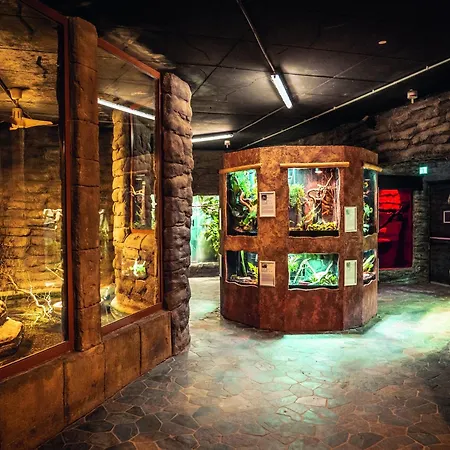 Apartamento Im Freizeitpark Weissenhaeuser