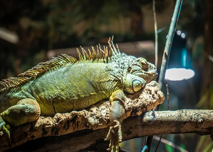 Im Freizeitpark Weissenhaeuser Weissenhäuser Strand