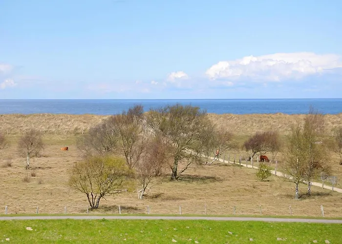 Im Freizeitpark Weissenhaeuser * Weissenhäuser Strand